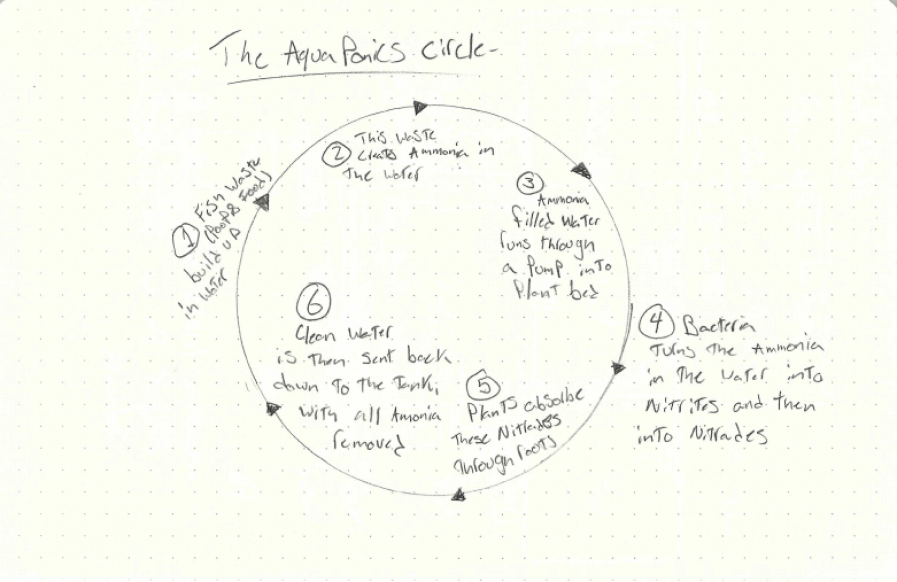 Basic aquaponics system diagram showing water flow