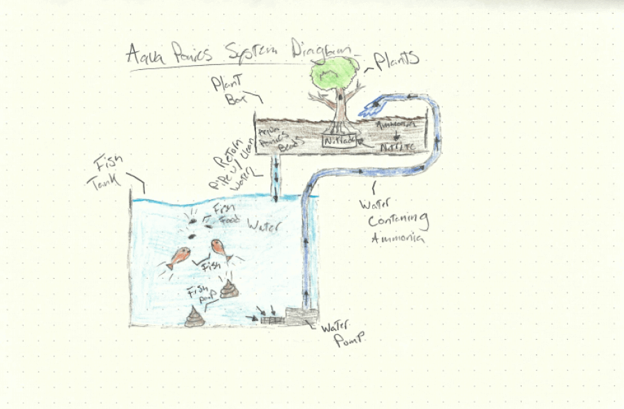Detailed aquaponics system diagram with component labels