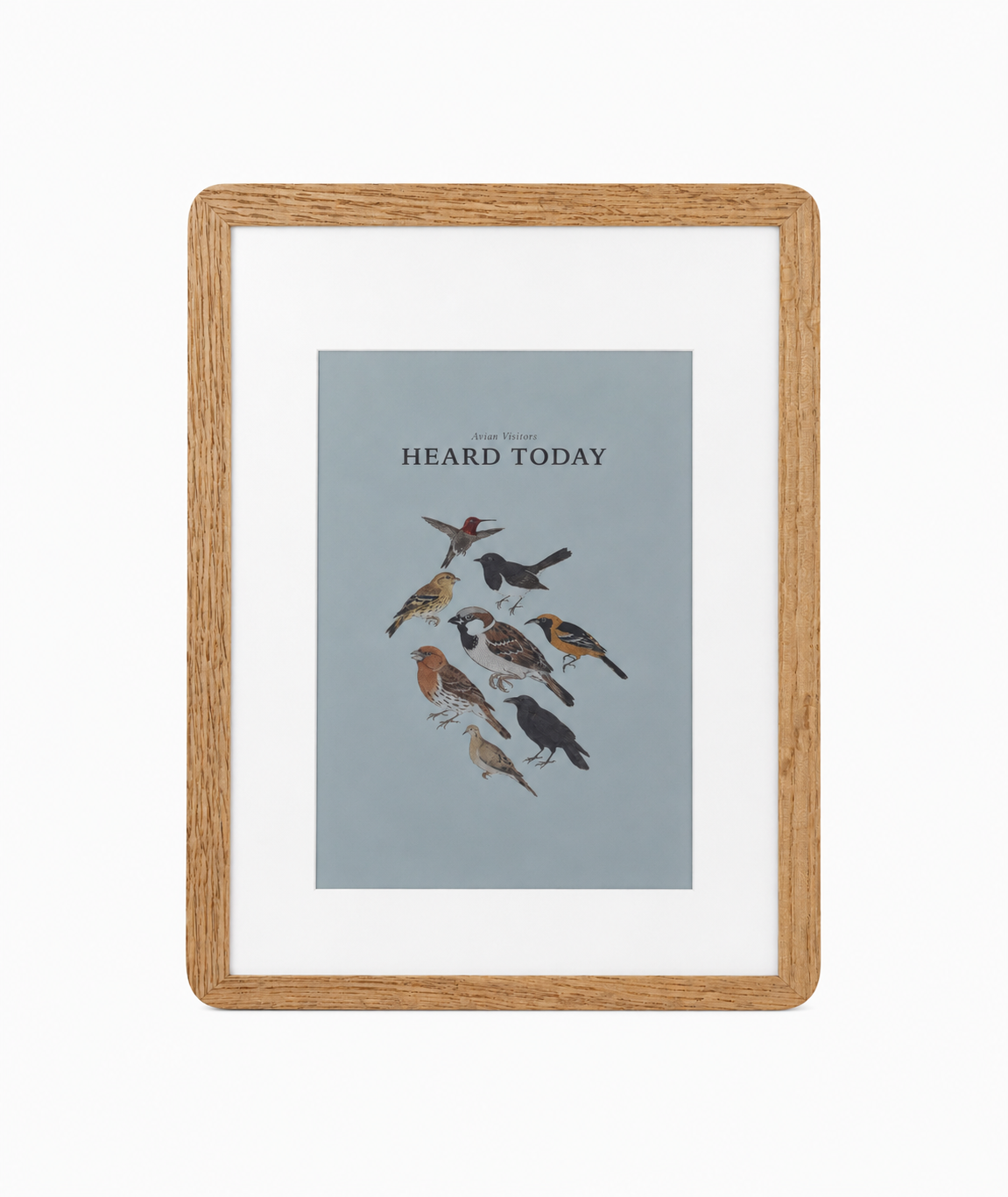 Avian Visitors kit