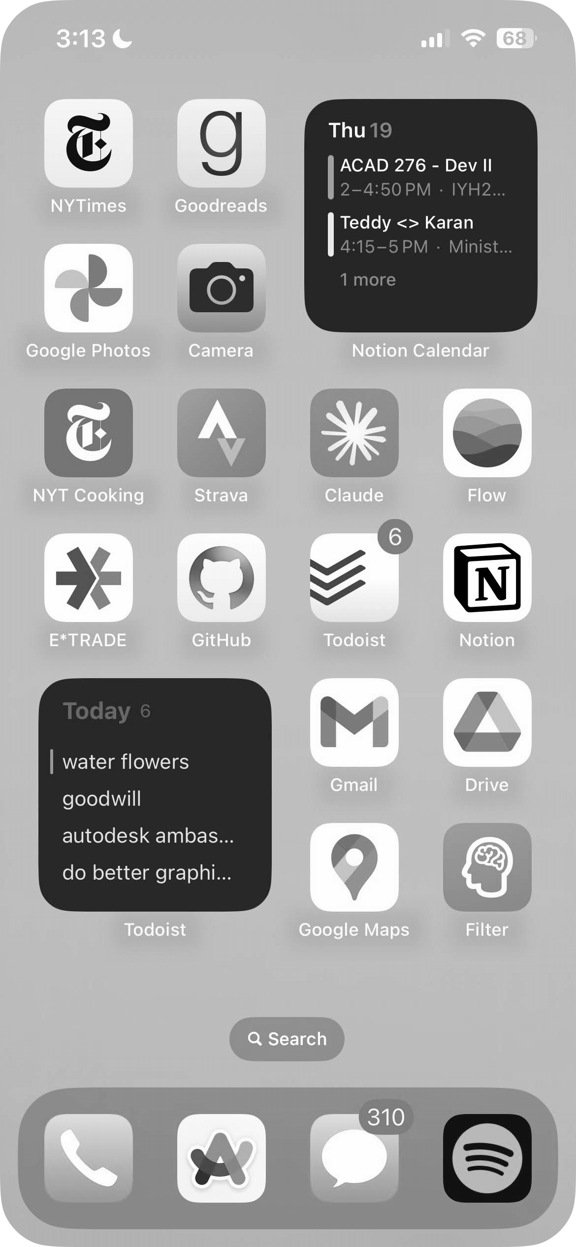 iPhone screen showing greyscale color filter applied